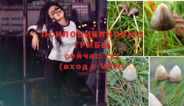 СК Алексеевка